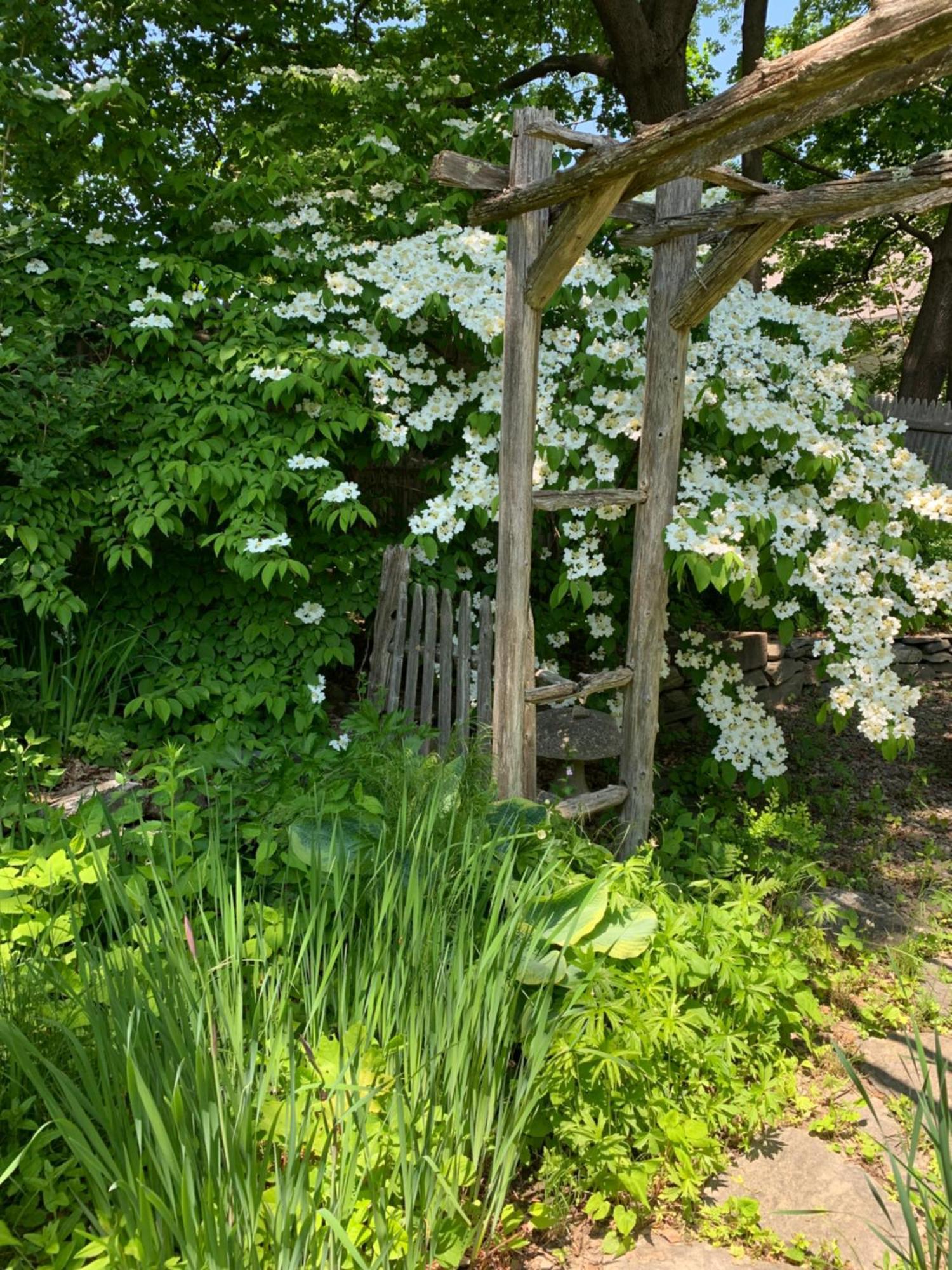 Marston House Wiscasset Bed & Breakfast Exterior photo